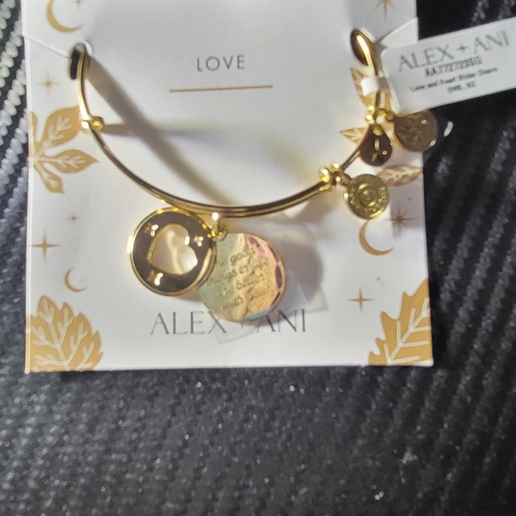 NEW Alex and Ani 'Positive Energy' Bangle Bracelet - Never Worn - Picture 6 of 7